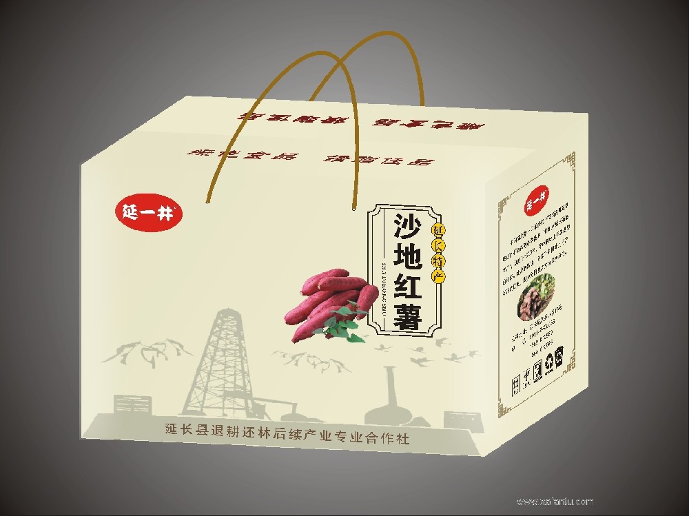 沙地红薯
